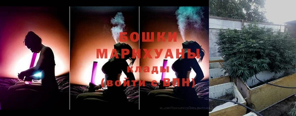 PSILOCYBIN Верхний Тагил