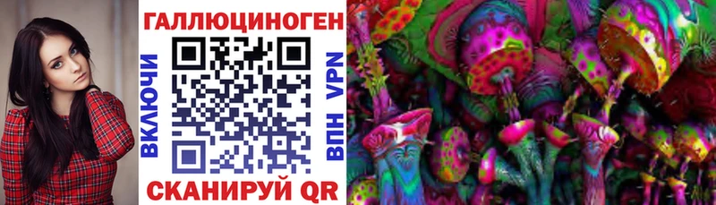 купить  сайты  Ростов  Псилоцибиновые грибы ЛСД 